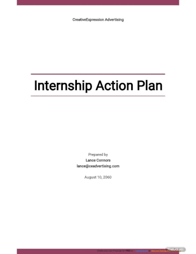 internship action plan template