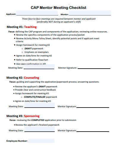 mentor meeting checklist template