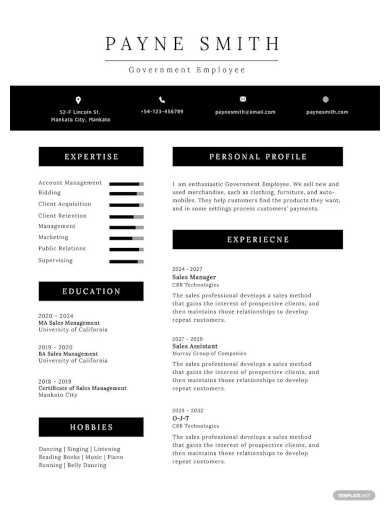 official professional resume template