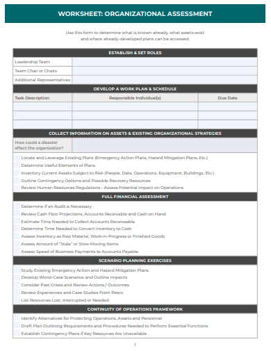 organizational assessment worksheet template
