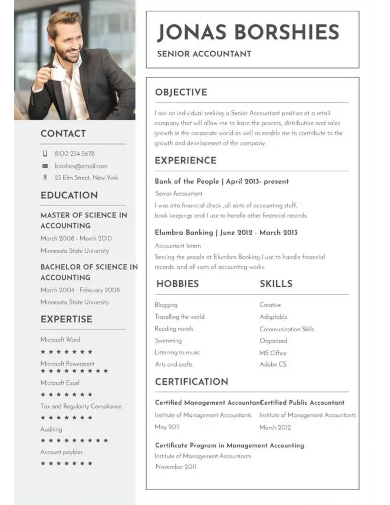 professional banking resume template