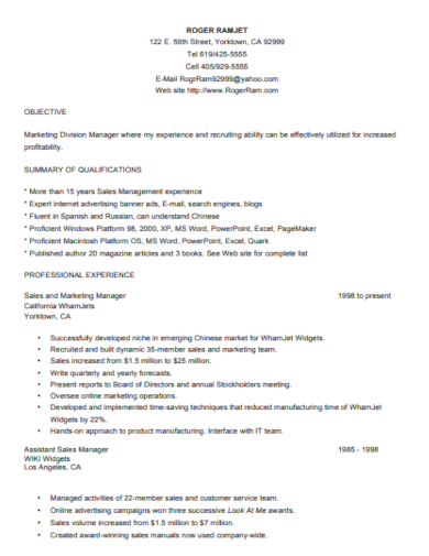 professional resume format