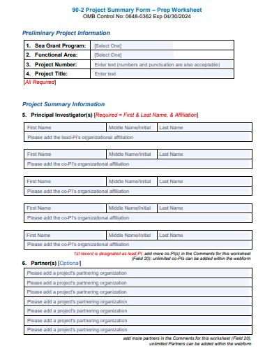 project summary form worksheet template