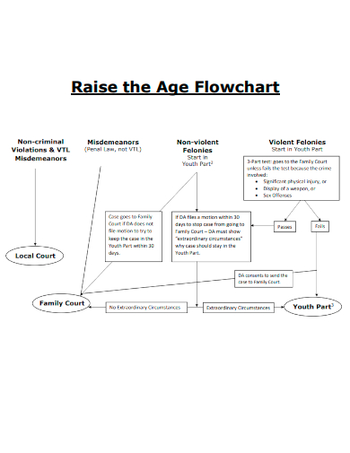 raise the age flowchart