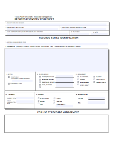 records inventory worksheet