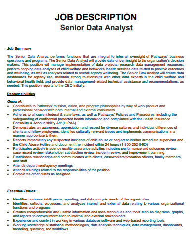senior data analyst job description template