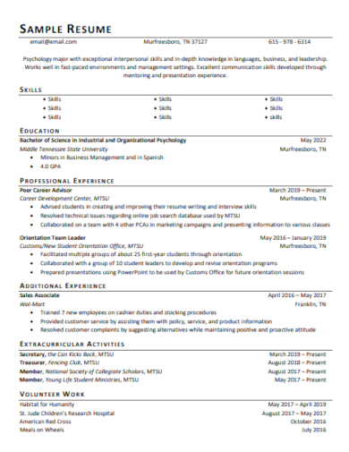 standard professional resume
