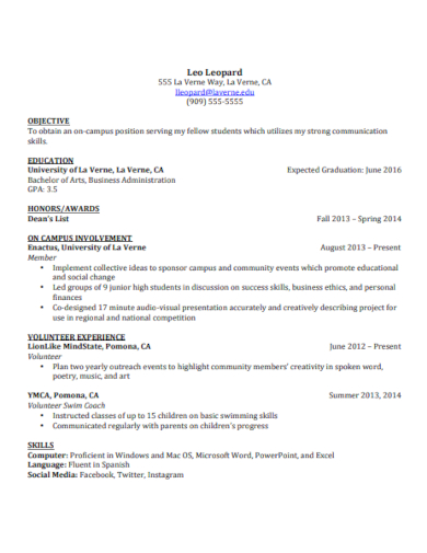 undergraduate professional resume example