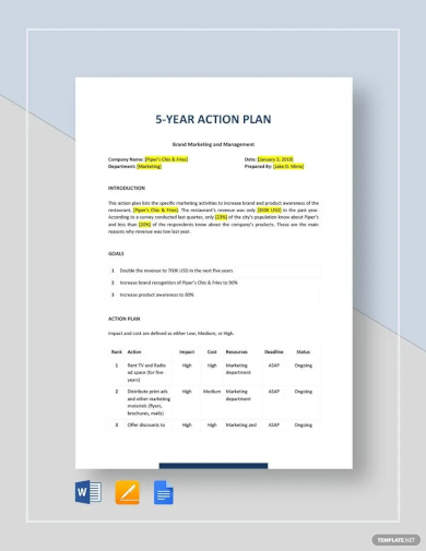 5 year action plan template