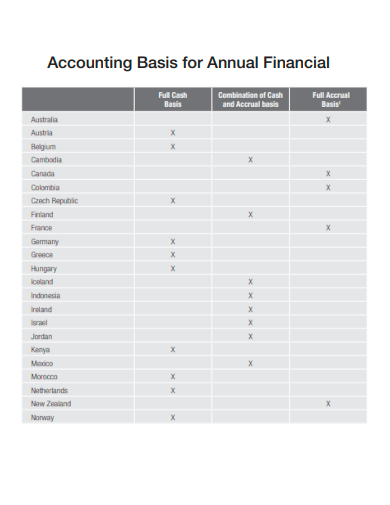 accounting basis for annual financial