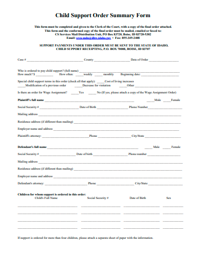 child support order summary form template