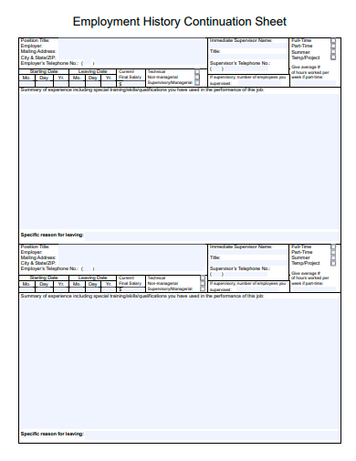 employment history continuation sheet template