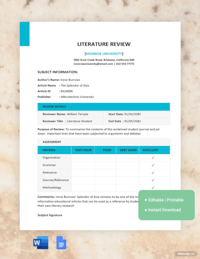 literature review template