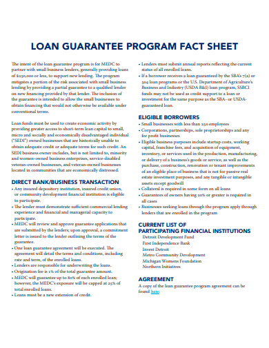 loan guarantee program fact sheet template