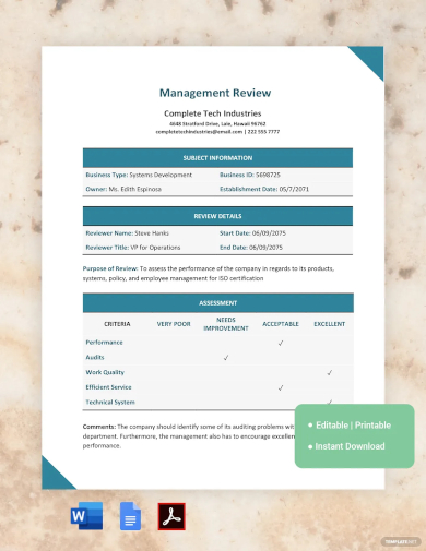 management review template