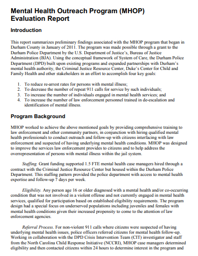 mental health program evaluation report