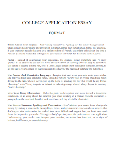 outline for college application essay