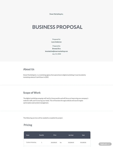 sample agency business proposal template