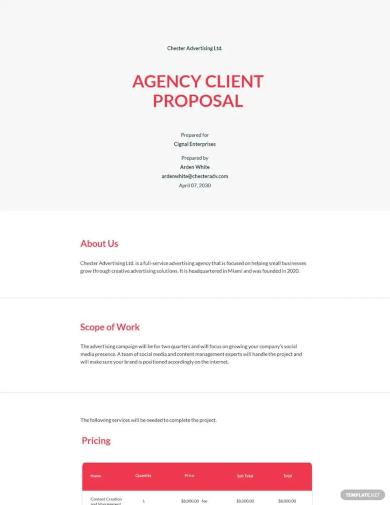 sample agency proposal to client template