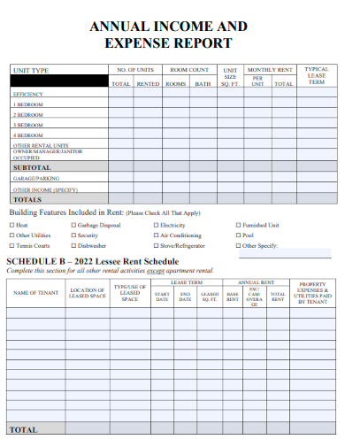 sample annual income and expense report form template