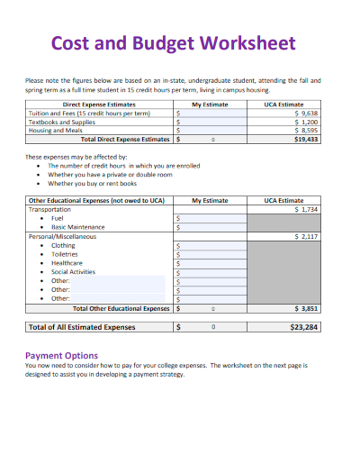 sample cost and budget worksheet template