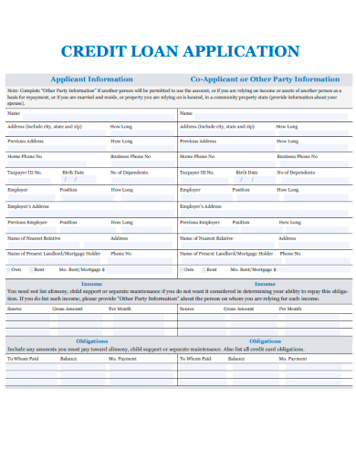 sample credit loan application template