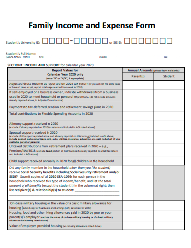 sample family income and expense form template
