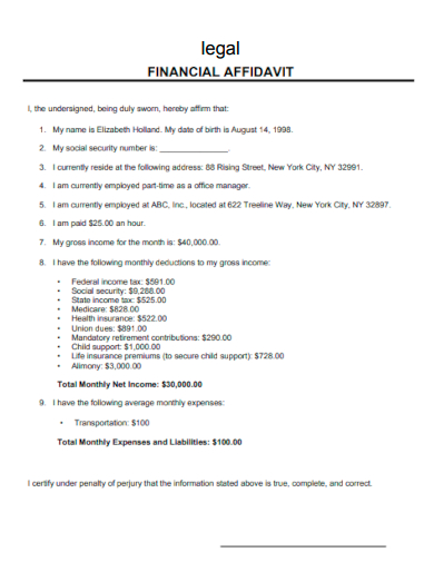 sample financial legal affidavit template