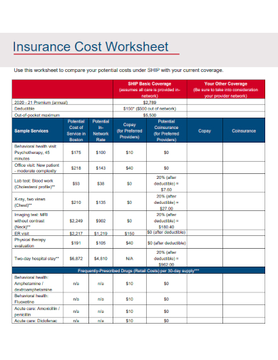 sample insurance cost worksheet template