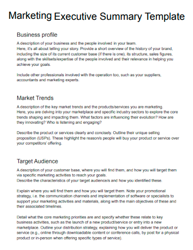 sample marketing executive summary template