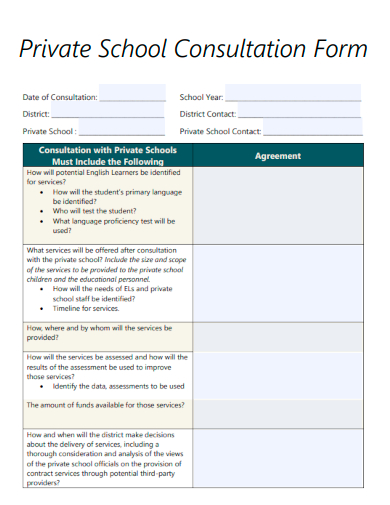 sample private school consultation form template