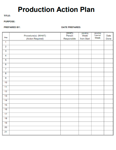 sample production action plan template