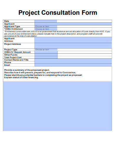 sample project consultation form template
