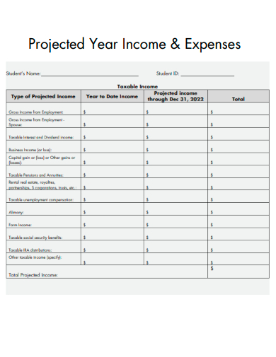 sample projected year income expenses form template