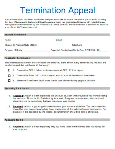 sample termination appeal template