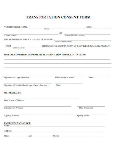 sample transportation consent form template
