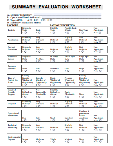 summary evaluation worksheet template