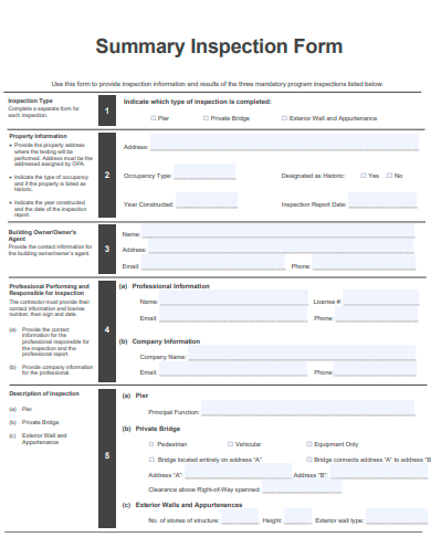 summary inspection form template