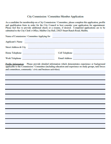 committee member application template