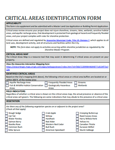 critical areas identification form template