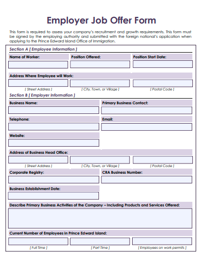 employer job offer form template