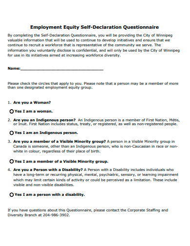 employment equity self declaration questionnaire template