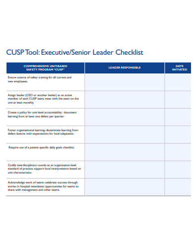 executive senior leader checklist template