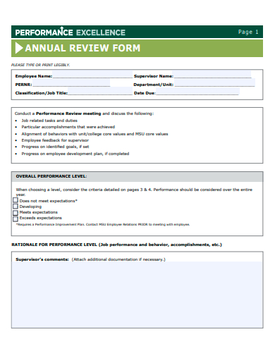 performance excellence annual review form template