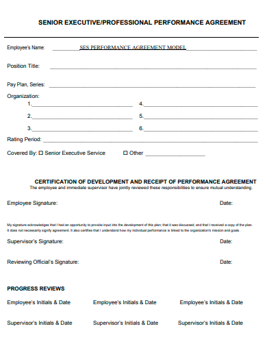 professional performance agreement template