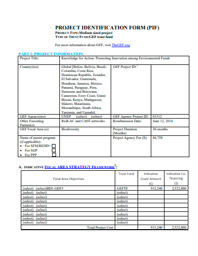 project identification form template