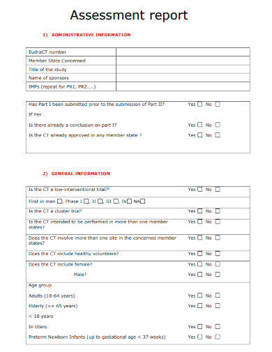 sample assessment report formal template