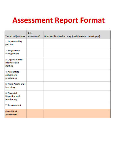 sample assessment report format template