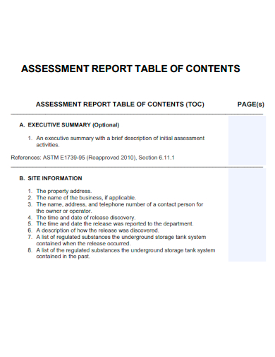 sample assessment report table of contents template