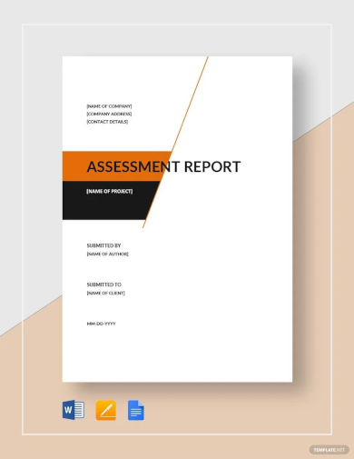 sample assessment report template